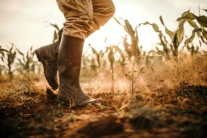 Australian Farming Visas