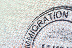 Other Visa Options